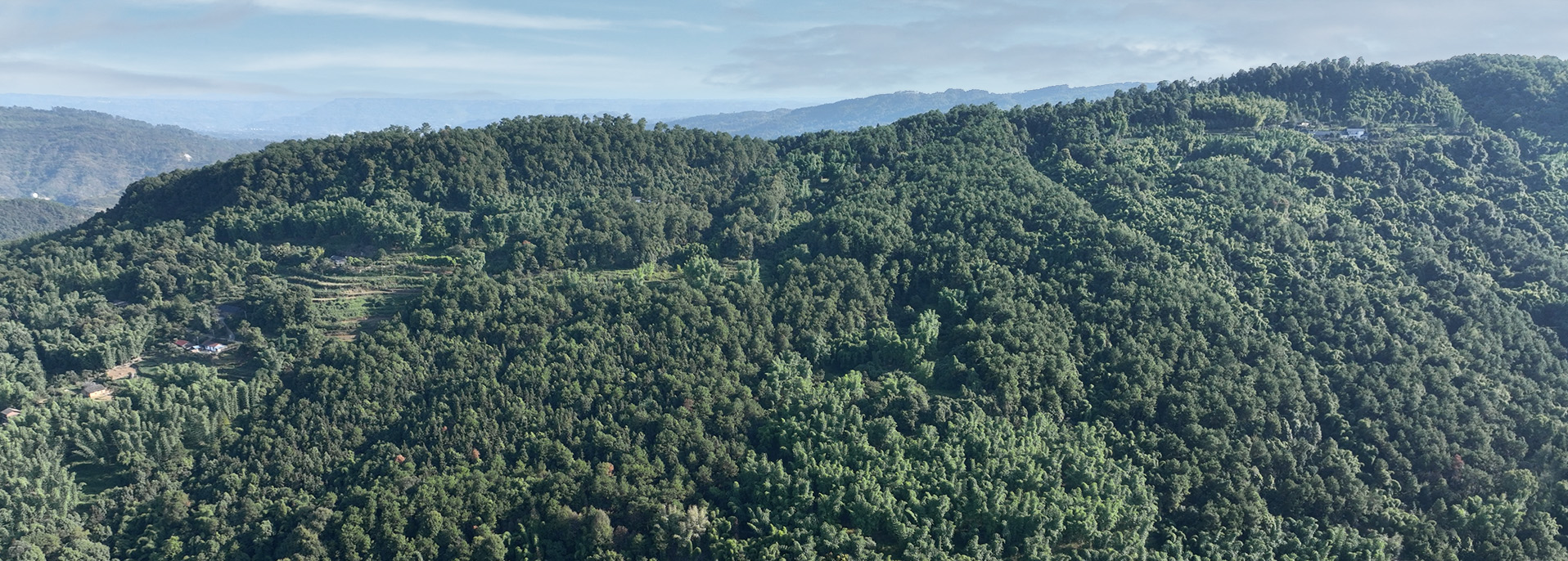 智慧森林無人機全自動巡邏方案