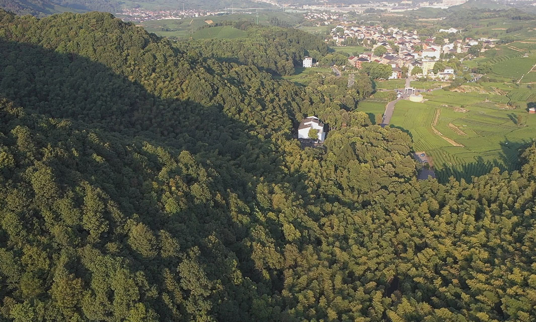 一文解析無人機森林防火，森林消防無人機的革命性應(yīng)用