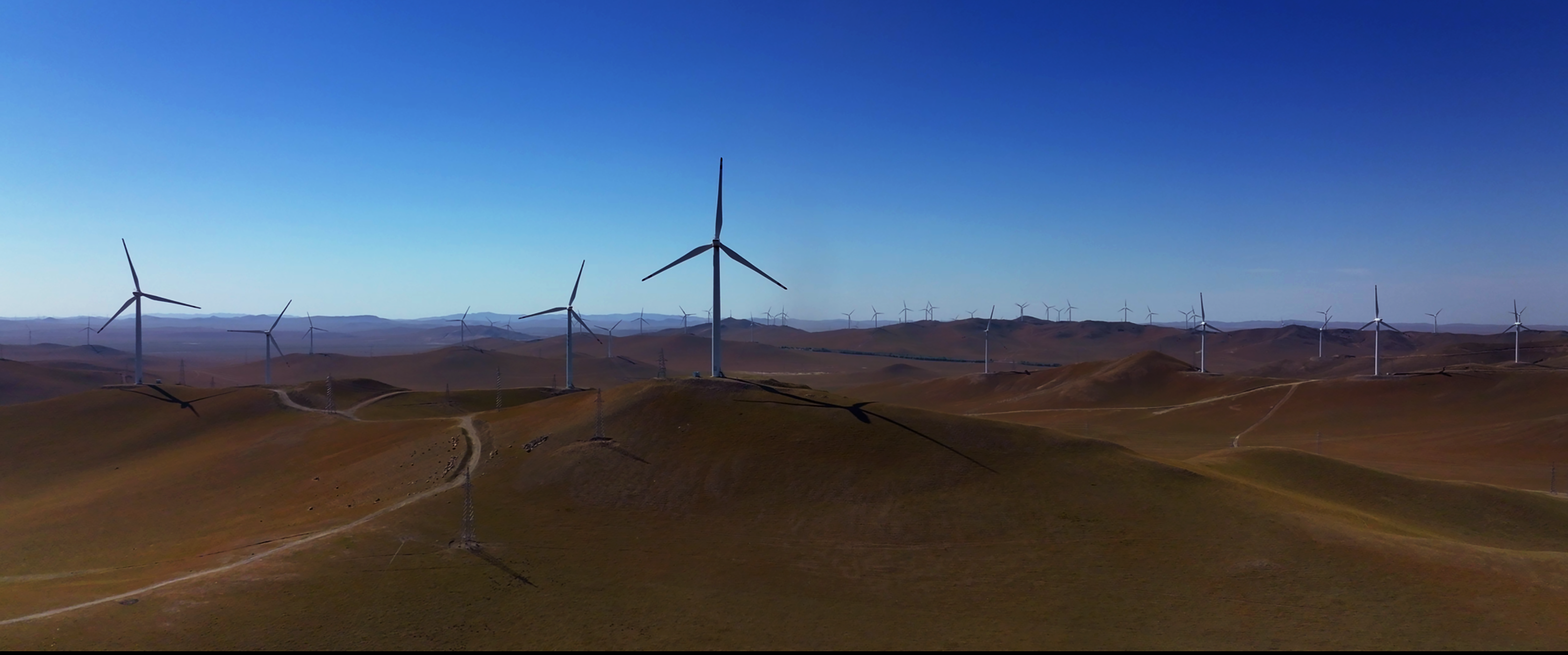 國家發展改革委等部門關于大力實施可再生能源替代行動的指導意見